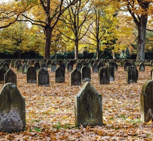 cementerio-primera-guerra-mundial_181624-9208