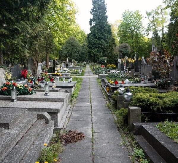 vista-cementerio-lapidas_23-2149435479